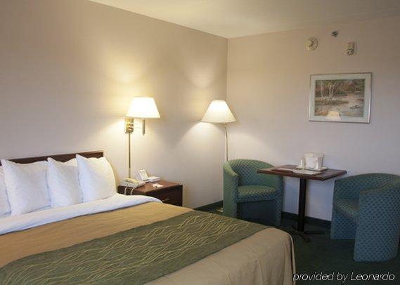 Comfort Inn & Suites Moose Jaw Room photo